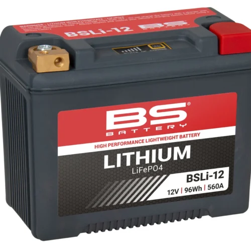 Akumuliatorius Lithium LiFePO4 Battery BSLI-12