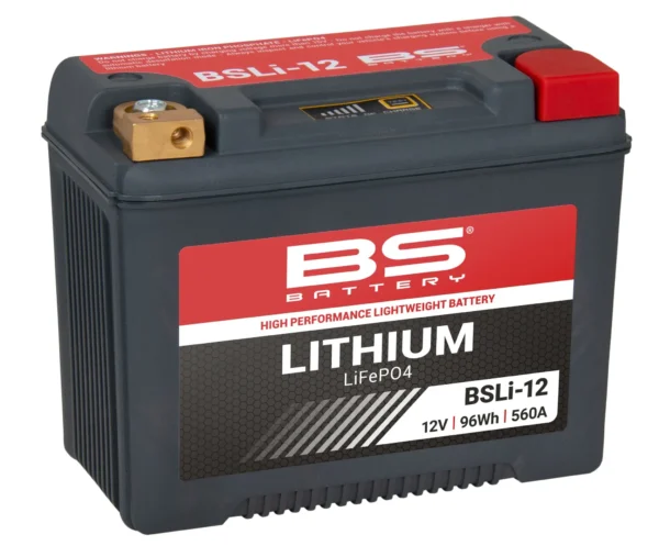 Akumuliatorius Lithium LiFePO4 Battery BSLI-12